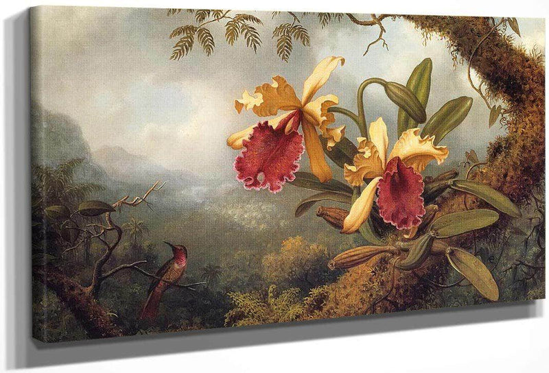 Orchids And Hummingbird By Martin Johnson Heade Fine Art Print
