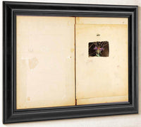 Ostrich, Study Folder For Book Concealing Coloration In The Animal Kingdom By Abbott Handerson Thayer Fine Art Print