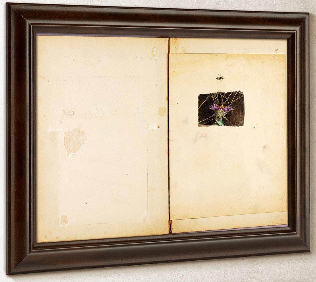 Ostrich, Study Folder For Book Concealing Coloration In The Animal Kingdom By Abbott Handerson Thayer Fine Art Print