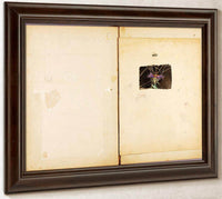 Ostrich, Study Folder For Book Concealing Coloration In The Animal Kingdom By Abbott Handerson Thayer Fine Art Print