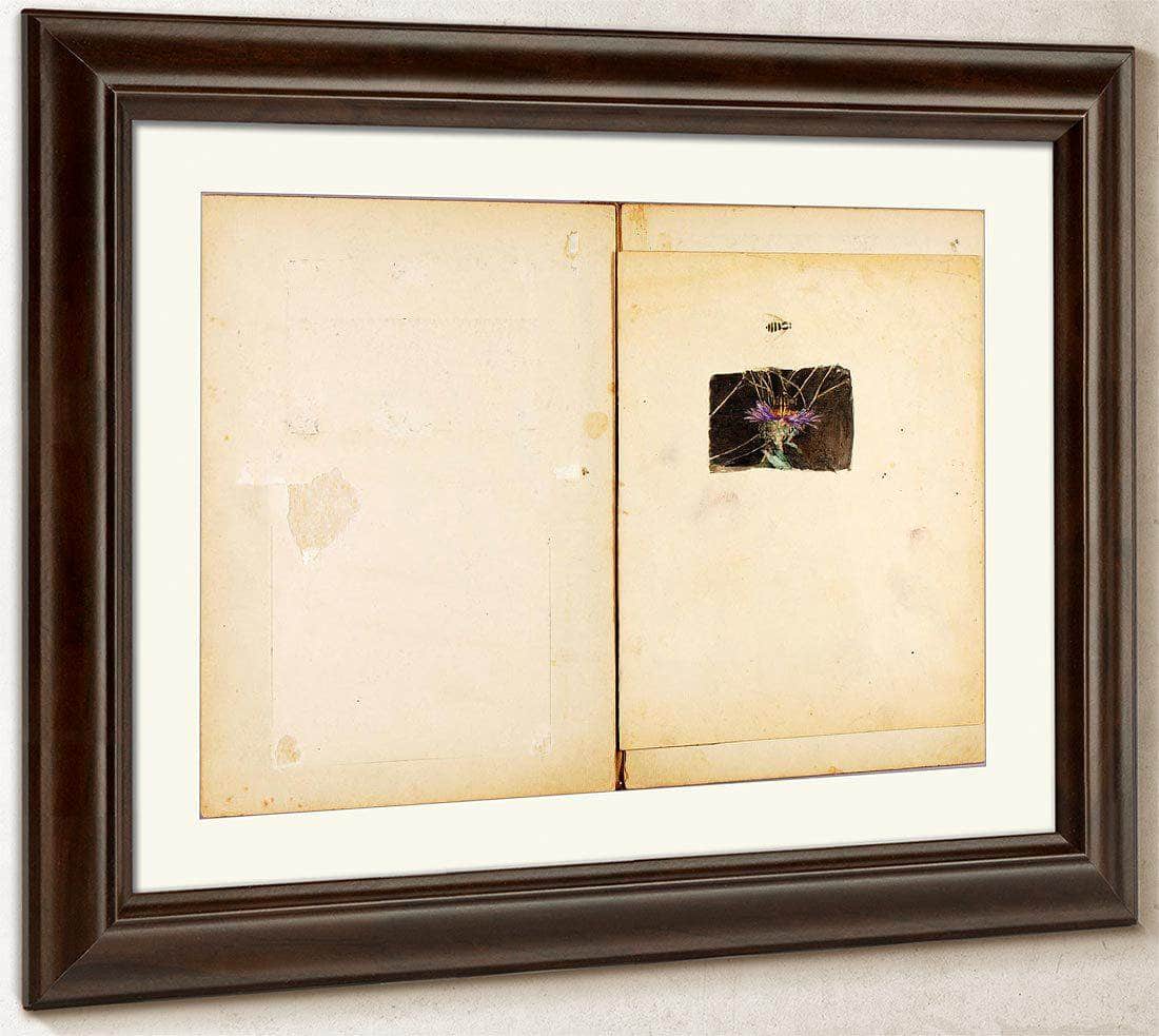 Ostrich, Study Folder For Book Concealing Coloration In The Animal Kingdom By Abbott Handerson Thayer Fine Art Print