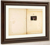 Ostrich, Study Folder For Book Concealing Coloration In The Animal Kingdom By Abbott Handerson Thayer Fine Art Print