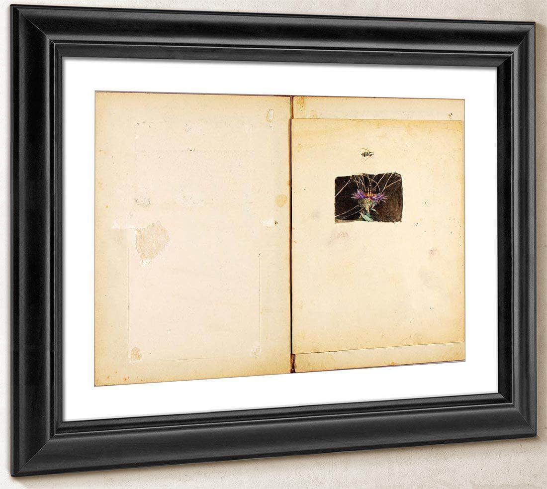 Ostrich, Study Folder For Book Concealing Coloration In The Animal Kingdom By Abbott Handerson Thayer Fine Art Print