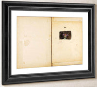 Ostrich, Study Folder For Book Concealing Coloration In The Animal Kingdom By Abbott Handerson Thayer Fine Art Print