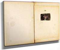 Ostrich, Study Folder For Book Concealing Coloration In The Animal Kingdom By Abbott Handerson Thayer Fine Art Print