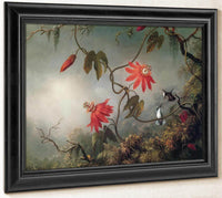 Passion Flowers And Hummingbirds By Martin Johnson Heade Fine Art Print