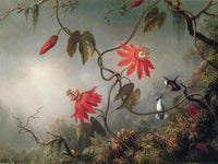 Passion Flowers And Hummingbirds By Martin Johnson Heade Fine Art Print