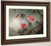 Passion Flowers And Hummingbirds By Martin Johnson Heade Fine Art Print
