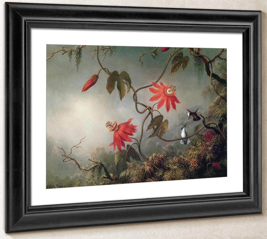 Passion Flowers And Hummingbirds By Martin Johnson Heade Fine Art Print