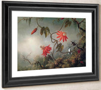 Passion Flowers And Hummingbirds By Martin Johnson Heade Fine Art Print
