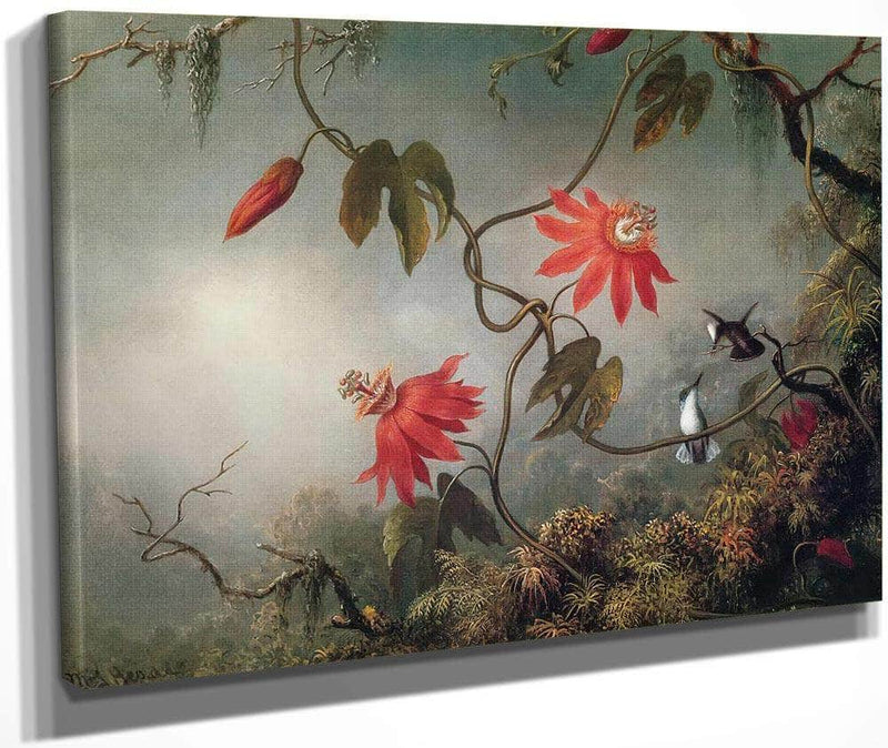 Passion Flowers And Hummingbirds By Martin Johnson Heade Fine Art Print