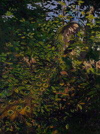 Peacock In The Woods, Study For Book Concealing Coloration In The Animal Kingdom By Abbott Handerson Thayer Fine Art Print