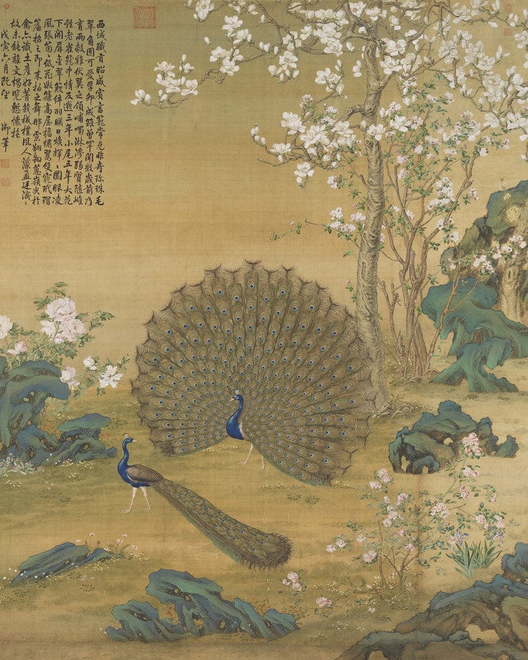 Peacock Spreading Its Tail Feathers 1758 By Giuseppe Castiglione Fine Art Print