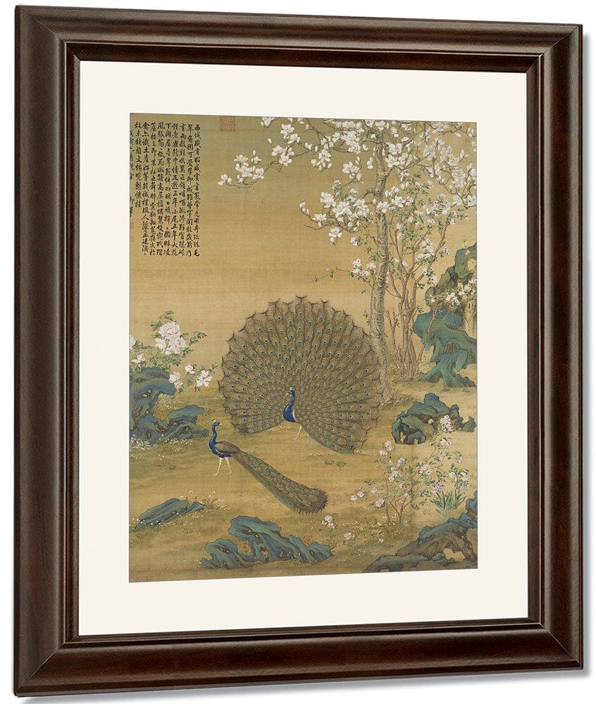 Peacock Spreading Its Tail Feathers 1758 By Giuseppe Castiglione Fine Art Print