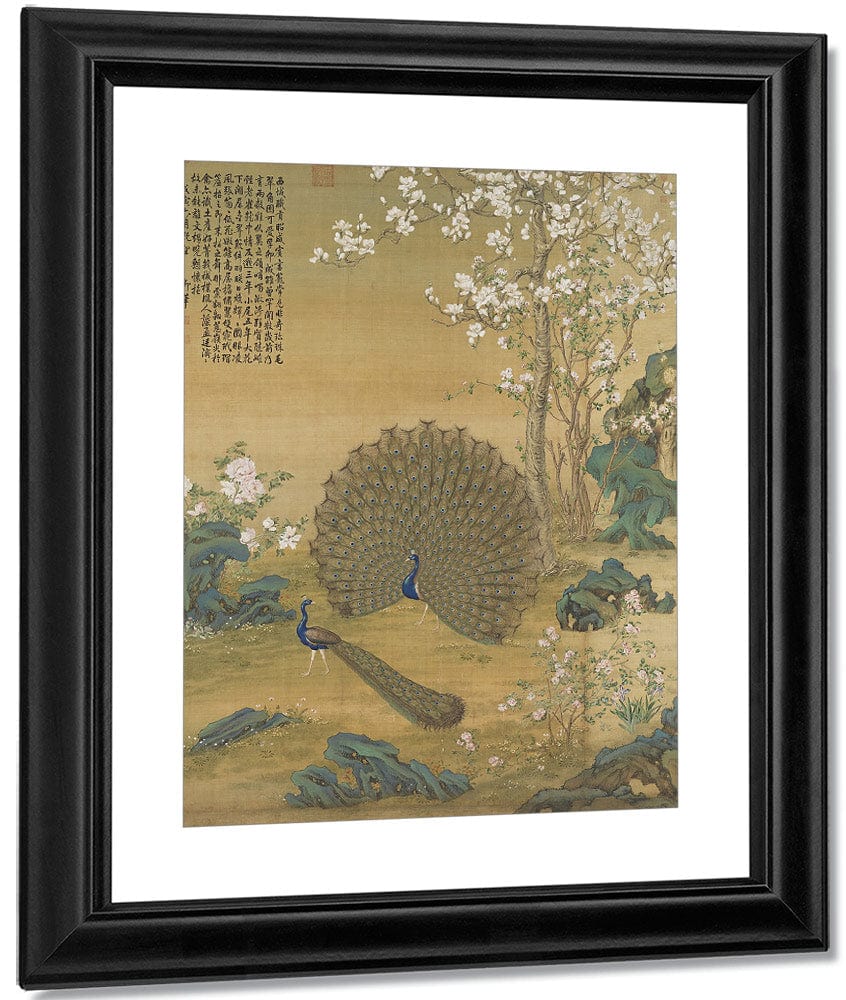 Peacock Spreading Its Tail Feathers 1758 By Giuseppe Castiglione Fine Art Print