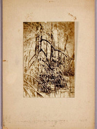 Photo Of Marsh, Study Folder For Book Concealing Coloration In The Animal Kingdom By Abbott Handerson Thayer Fine Art Print