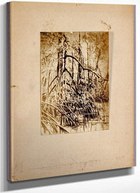 Photo Of Marsh, Study Folder For Book Concealing Coloration In The Animal Kingdom By Abbott Handerson Thayer Fine Art Print