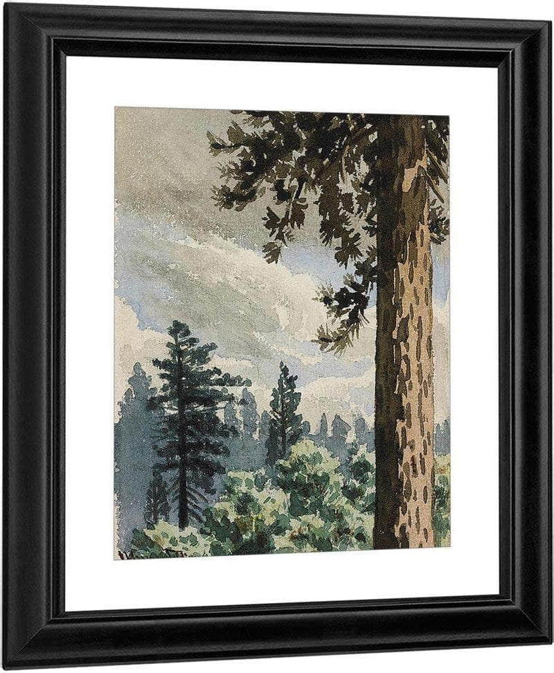 Pine Trees 1892; Happy New Year 1893 (A Pair) By Maynard Dixon Fine Art Print