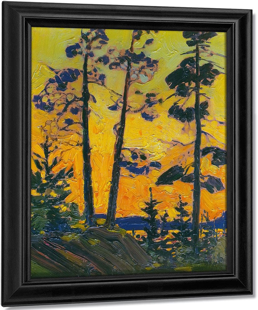 Pine Trees At Sunset By Tom Thomson Fine Art Print