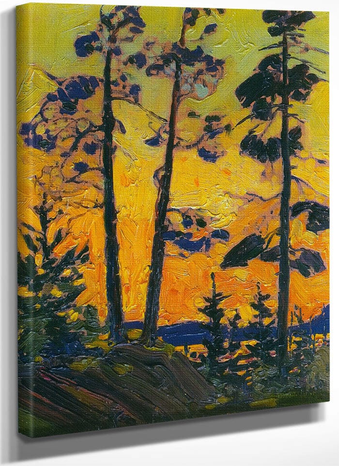 Pine Trees At Sunset By Tom Thomson Fine Art Print