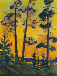 Pine Trees At Sunset By Tom Thomson Fine Art Print