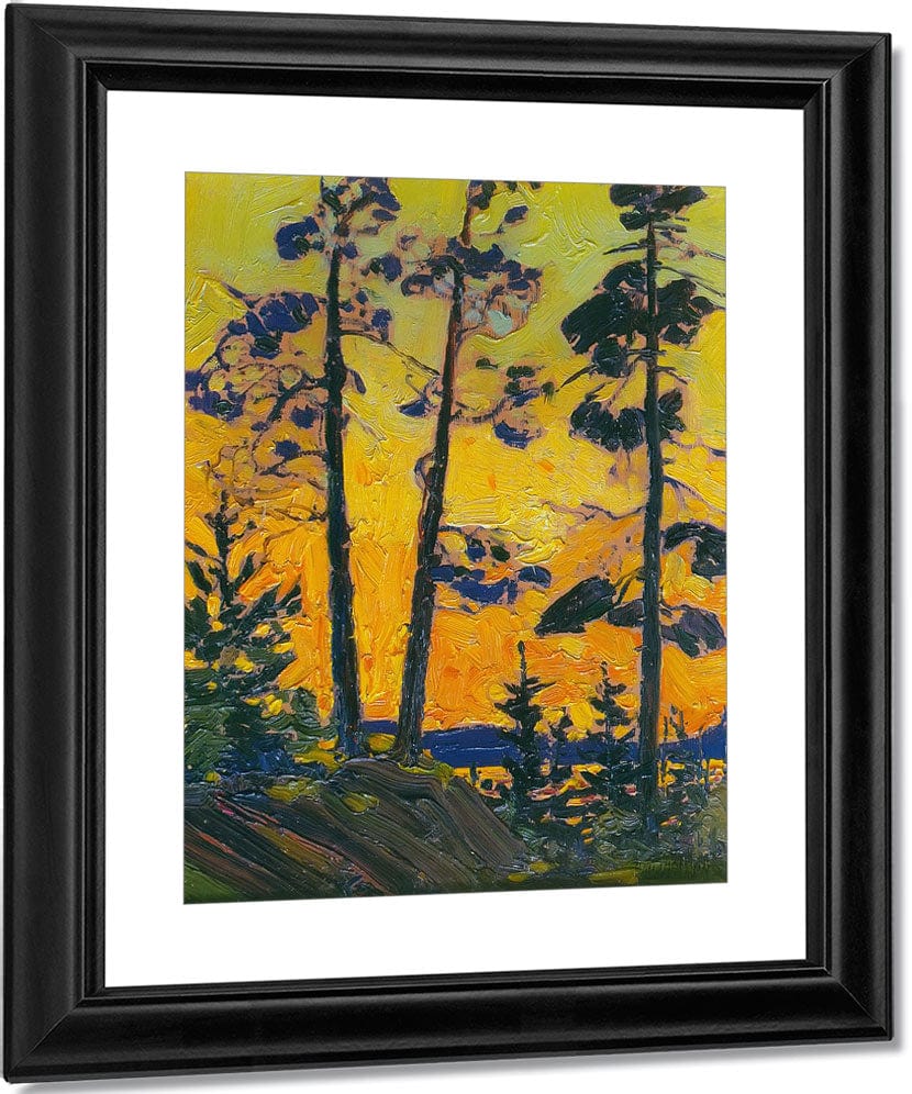 Pine Trees At Sunset By Tom Thomson Fine Art Print
