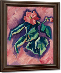 Pink Begonias By Marsden Hartley Fine Art Print