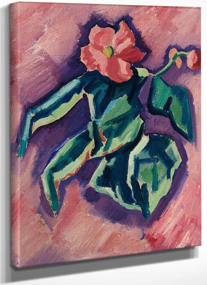 Pink Begonias By Marsden Hartley Fine Art Print