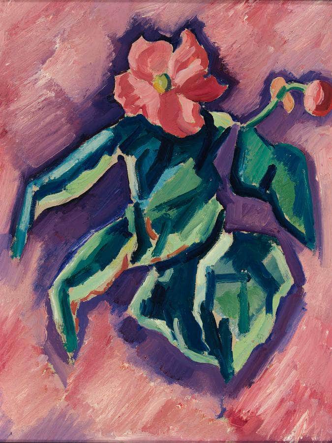 Pink Begonias By Marsden Hartley Fine Art Print