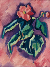 Pink Begonias By Marsden Hartley Fine Art Print
