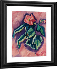 Pink Begonias By Marsden Hartley Fine Art Print