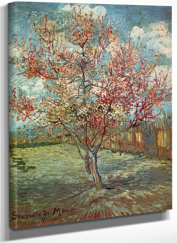 Pink Peach Trees By Vincent Van Gogh Fine Art Print