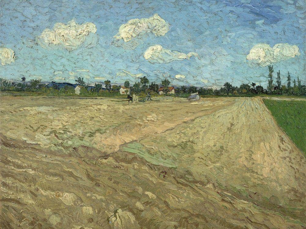 Ploughed Fields ('The Furrows') By Vincent Van Gogh Fine Art Print