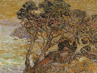 Point Lobos Monterey Coast By Franz A. Bischoff Fine Art Print