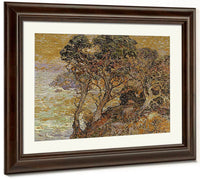 Point Lobos Monterey Coast By Franz A. Bischoff Fine Art Print