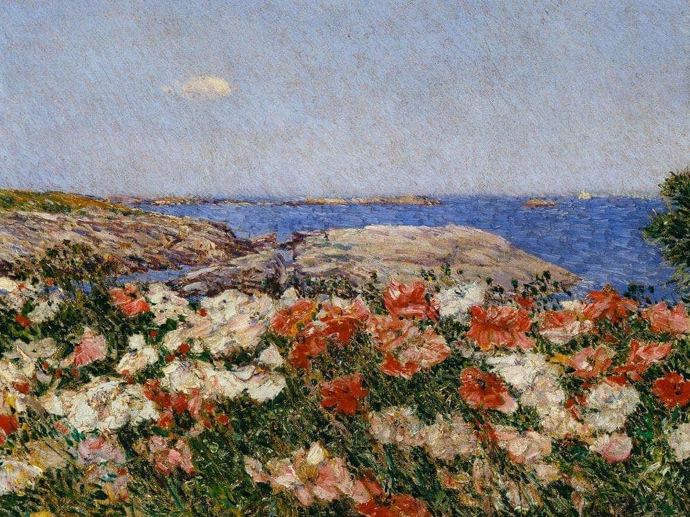 Poppies On The Isle Of Shoals By Childe Hassam Fine Art Print