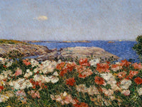 Poppies On The Isle Of Shoals By Childe Hassam Fine Art Print