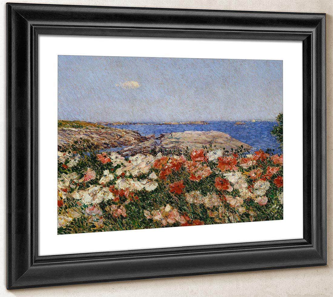 Poppies On The Isle Of Shoals By Childe Hassam Fine Art Print