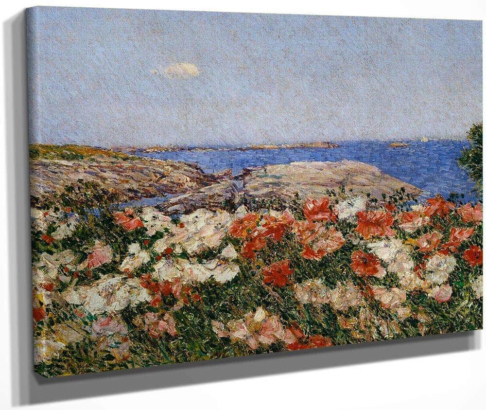 Poppies On The Isle Of Shoals By Childe Hassam Fine Art Print