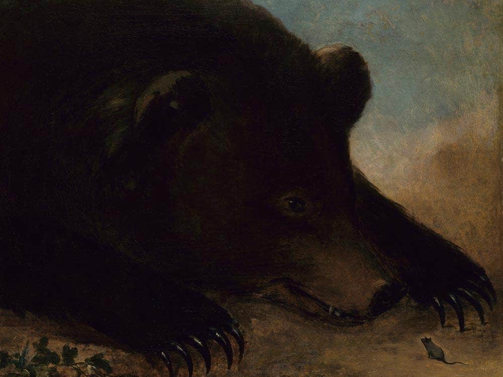 Portraits Of A Grizzly Bear And Mouse, Life Size By George Catlin Fine Art Print