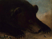 Portraits Of A Grizzly Bear And Mouse, Life Size By George Catlin Fine Art Print