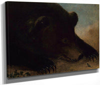 Portraits Of A Grizzly Bear And Mouse, Life Size By George Catlin Fine Art Print