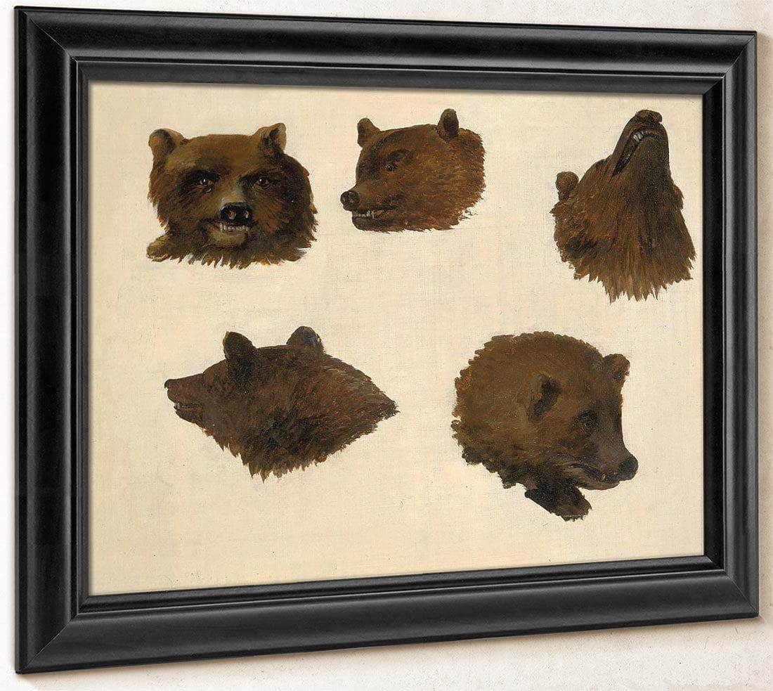 Portraits Of Two Grizzly Bears, From Life By George Catlin Fine Art Print