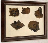 Portraits Of Two Grizzly Bears, From Life By George Catlin Fine Art Print