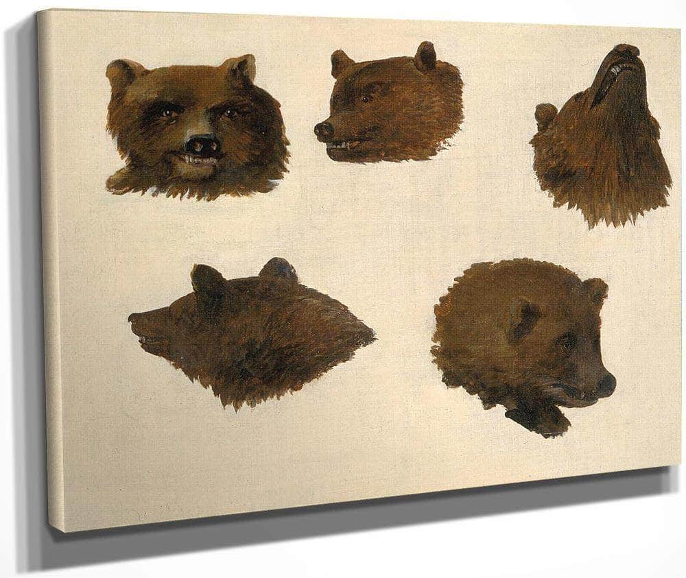 Portraits Of Two Grizzly Bears, From Life By George Catlin Fine Art Print