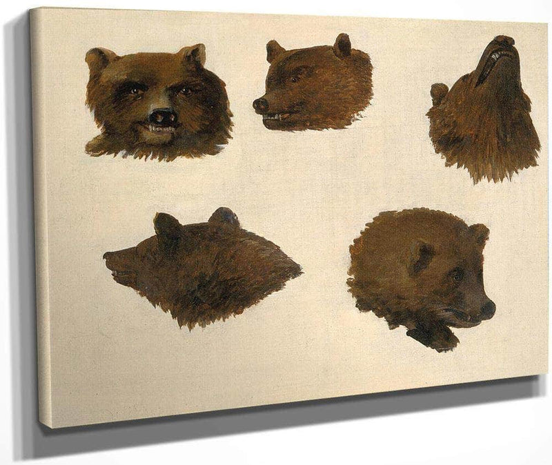 Portraits Of Two Grizzly Bears, From Life By George Catlin Fine Art Print
