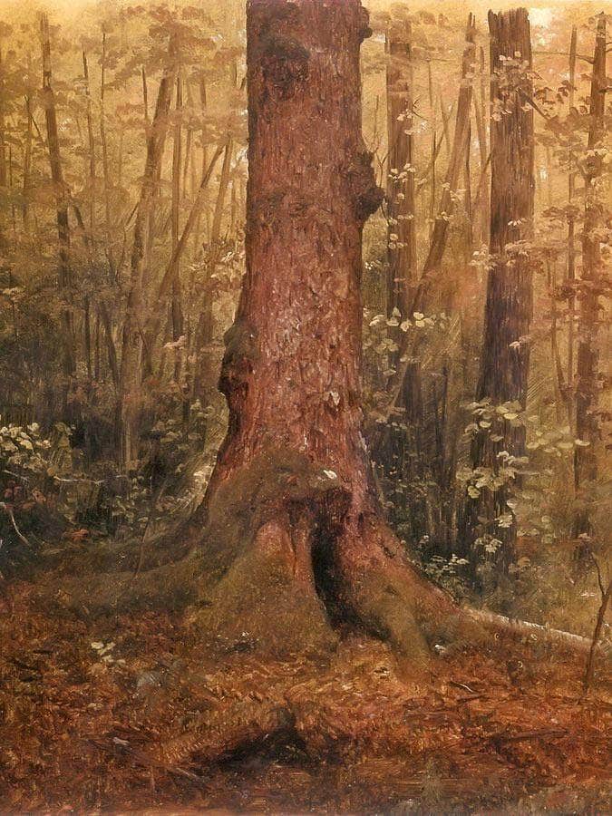 Probably Main Landscape In The Woods By Frederic Edwin Church Fine Art Print