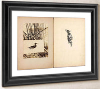 Rail And Woodpecker, Study Folder For Book Concealing Coloration In The Animal Kingdom By Abbott Handerson Thayer Fine Art Print