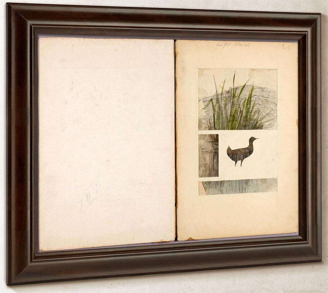 Rail, Study Folder For Book Concealing Coloration In The Animal Kingdom By Abbott Handerson Thayer Fine Art Print