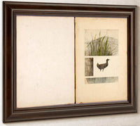 Rail, Study Folder For Book Concealing Coloration In The Animal Kingdom By Abbott Handerson Thayer Fine Art Print